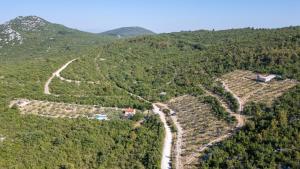 Country house Maslina by Villas Guide