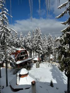 Cozy Apartment B35 in Grand Resort Pamporovo