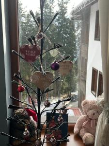 Cozy Apartment B35 in Grand Resort Pamporovo