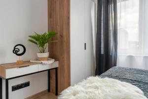 Urban Modern Apartaments 5