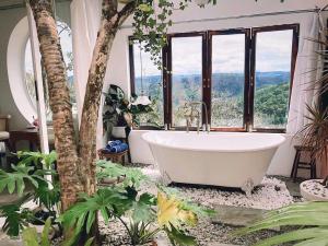 Thung Lũng Sun View homestay