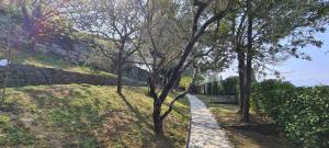 Villa gli Ulivi Chalten Apartment