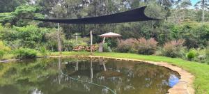 Forest Gypsy Tiny Home