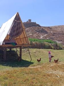 Glamping Catarata Capua