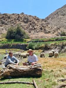 Glamping Catarata Capua