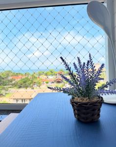 Apê Serenidade nas Toninhas - Ubatuba