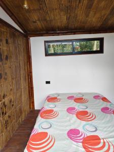 Chiraco cabins native jungle