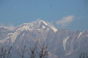Panchavati Hills Homestay