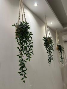 Studio Cosy TOP1 , Ultra Proche Plage, NICE CENTRE