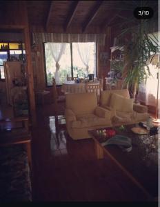 Relajo en plena naturaleza