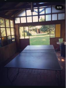 Relajo en plena naturaleza