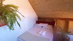 Chalé manaká no centro