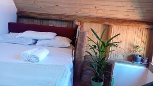 Chalé manaká no centro