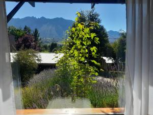 Cabañas San Valentin