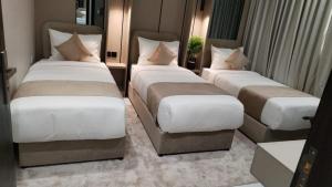 مدنايت -midnight