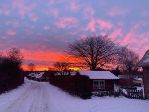 Ferienhaus Alte Stellmacherei