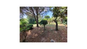 Plage Vardiola à pied Familiale 10 pers Corse Sud Porto Vecchio