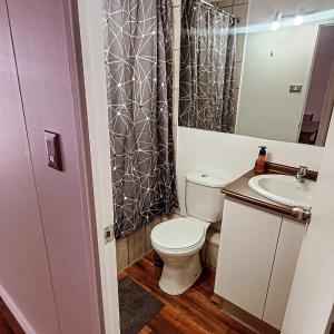 Dpto Amoblado Chillán