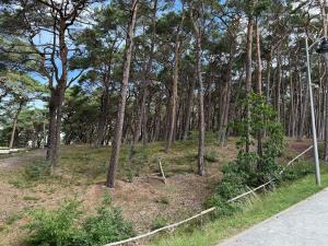 Apartment No 4 Seaside&Leisure