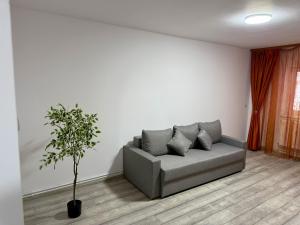 City Escape - Apartament Cochet
