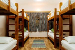 C1 Hostel in Boho Kodai