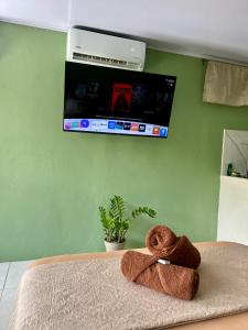 Pura Vida Estudio with Pool