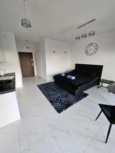 Apartament nad Odra centrum