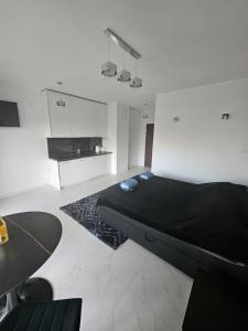 Apartament nad Odra centrum