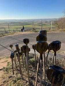 2 bedroom Apartment in wine region