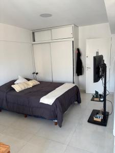 Depto zona Plaza Mitre1