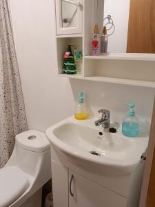 cabañas las vertientes villarrica