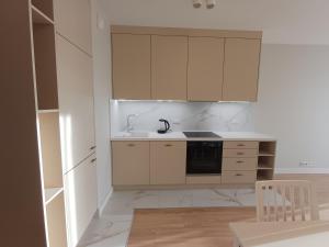 Praga Apartament Near Sante and Kozminsky