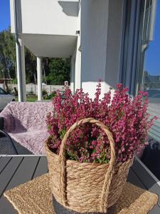 Domki Leśne Bliźniaki