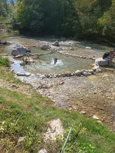 Riverside Guesthouse