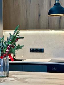 Central Park Apart Irpin