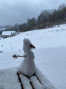 elements - Solina, z sauną