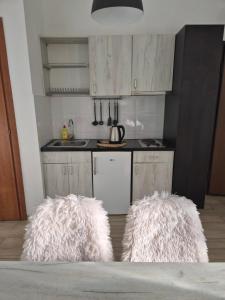 Centar Novi Sad Studio No4 PARKING ON REQUEST