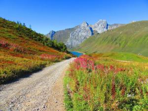 Grand appartement face aux pistes de ski