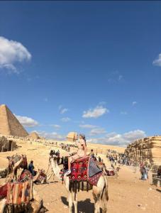 Bastet Pyramids inn