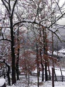 Family owned self sufficient ECO farm TARA