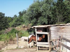 Maisons de vacances Le Mas de la Grenouillere : photos des chambres