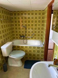 Waterfall House - Art and Design, Ski, Hike, Swim