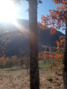 Family owned self sufficient ECO farm TARA