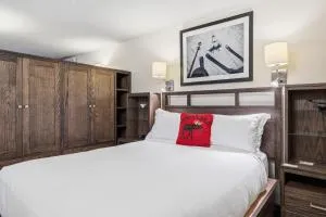 Lift House Lodge, Pet Friendly, Premium Studio Condo