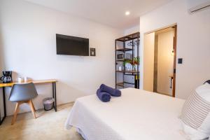 Bahia Selvatica Lodge