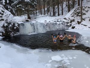 Apartamenty Leśniczówka Salamandra