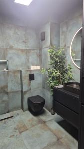 New Transilvania Blue