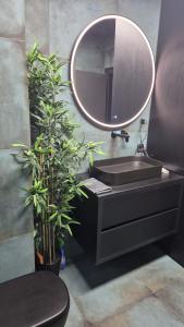 New Transilvania Blue