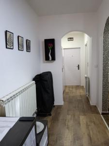 Studio Apartment Center