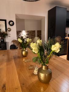 Les Libellules Appartement avec baignoire spa à Lanvallay